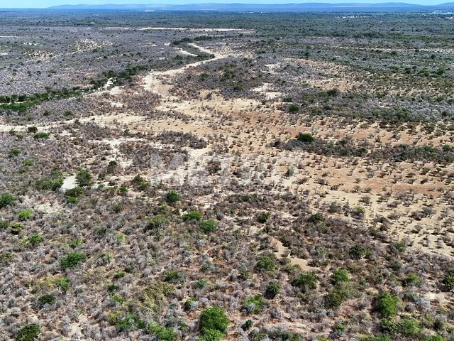 Imagem 12: Área rural com 961ha, 400 metros de margem do Rio São Francisco, bem localizado