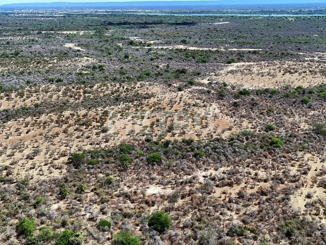 Imagem 13: Área rural com 961ha, 400 metros de margem do Rio São Francisco, bem localizado