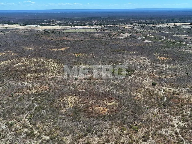 Imagem 15: Área rural com 961ha, 400 metros de margem do Rio São Francisco, bem localizado