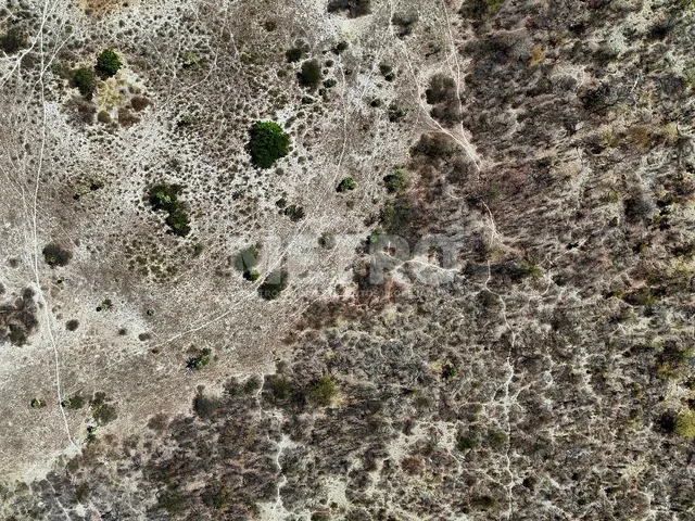 Imagem 16: Área rural com 961ha, 400 metros de margem do Rio São Francisco, bem localizado