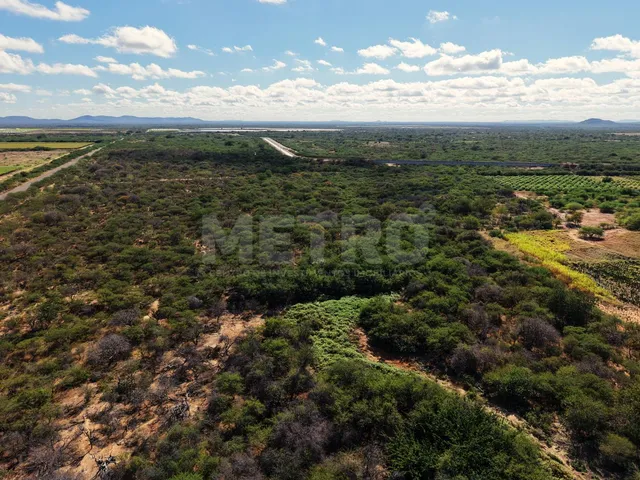 Imagem: Fazenda irrigada à venda, 60ha, área rural