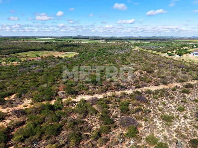 Imagem 2: Fazenda irrigada à venda, 60ha, área rural de Petrolina