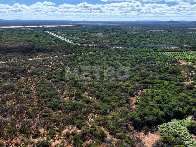 Imagem 3: Fazenda irrigada à venda, 60ha, área rural de Petrolina