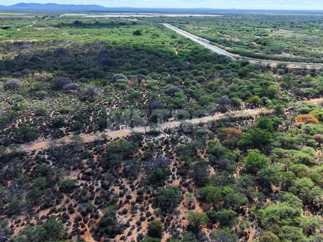 Imagem 4: Fazenda irrigada à venda, 60ha, área rural de Petrolina