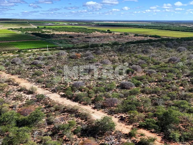 Imagem 5: Fazenda irrigada à venda, 60ha, área rural de Petrolina
