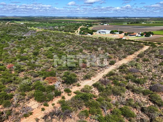 Imagem 6: Fazenda irrigada à venda, 60ha, área rural de Petrolina