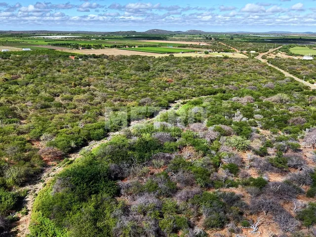 Imagem 7: Fazenda irrigada à venda, 60ha, área rural de Petrolina