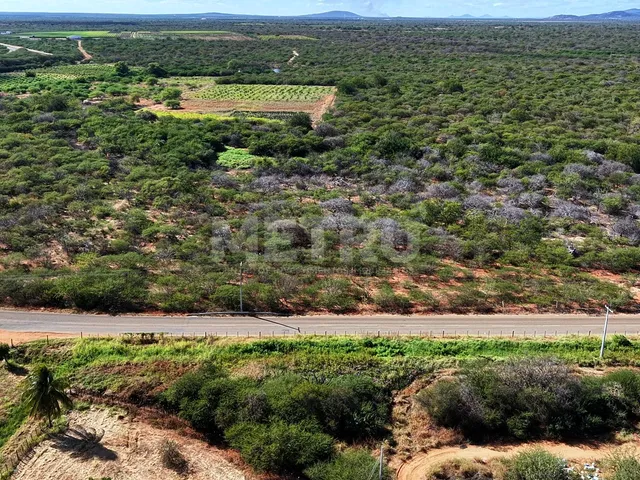 Imagem 8: Fazenda irrigada à venda, 60ha, área rural de Petrolina