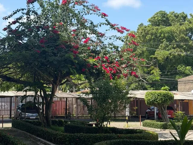 Imagem 7: Apartamento Semi Mobiliado para Aluguel no Residencial Vila Roseira – 3 Quartos, 1