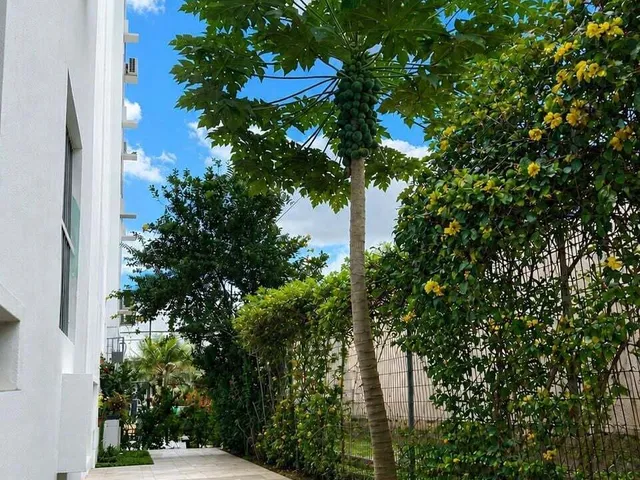 Imagem 4: Apartamento Térreo com Garden à Venda no Condomínio Vitória Maguary 2 Quartos