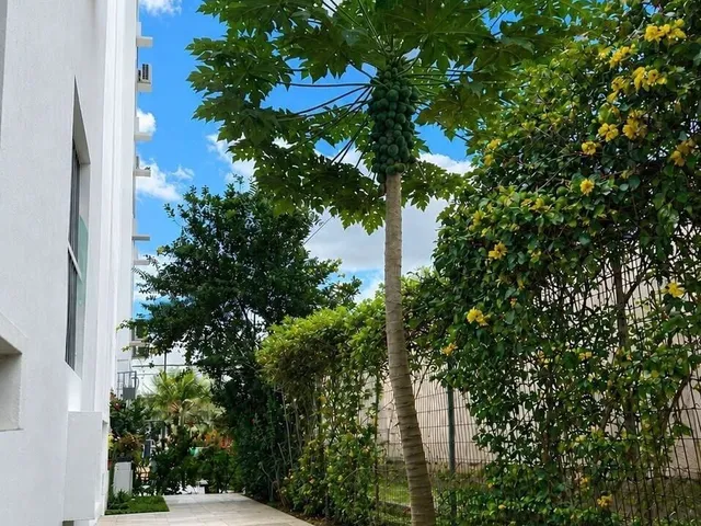 Imagem 15: Apartamento à Venda no Vitória Maguary Garden Privativo de 34m² Coqueiro