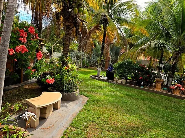 Imagem: Chacara a Venda em Mirassol, 5Mil M², Otimas