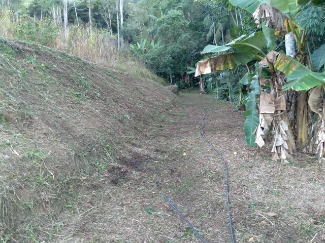 Imagem 10: Vendo Sítio em Biguaçu / Sc
