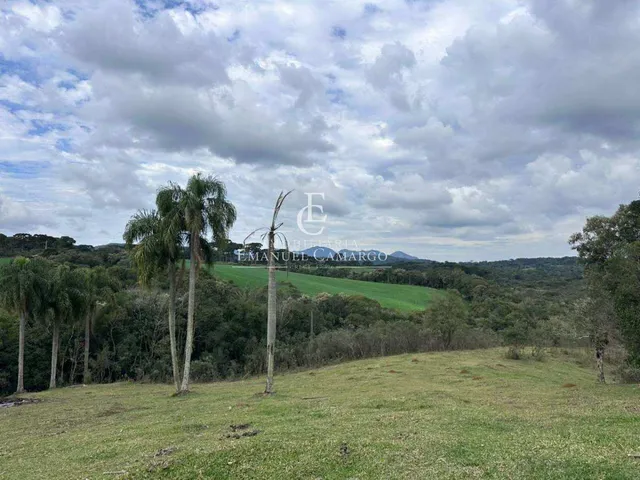 Imagem 12: Área à venda em Piraquara, Vila Fuck, 20000m²