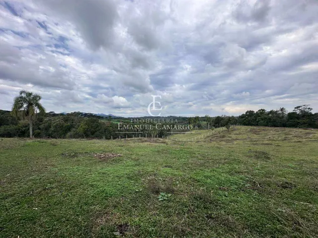 Imagem 8: Área à venda em Piraquara, Vila Fuck, 20000m²
