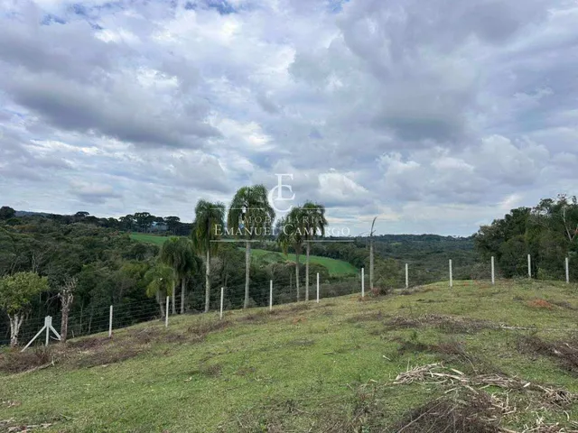 Imagem 11: Área à venda em Piraquara, Vila Fuck, 20000m²