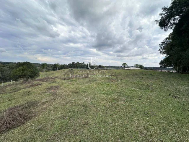 Imagem 2: Área à venda em Piraquara, Vila Fuck, 20000m²