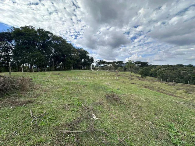 Imagem 4: Área à venda em Piraquara, Vila Fuck, 20000m²