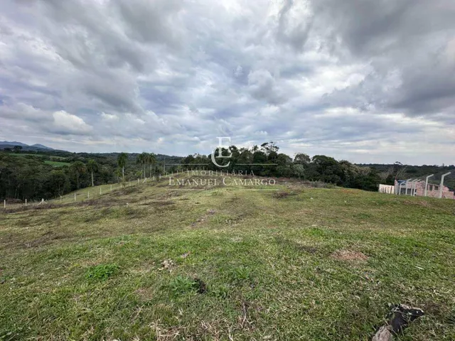 Imagem 5: Área à venda em Piraquara, Vila Fuck, 20000m²
