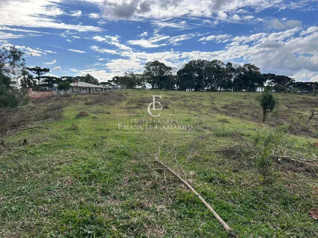 Imagem 7: Área à venda em Piraquara, Vila Fuck, 20000m²
