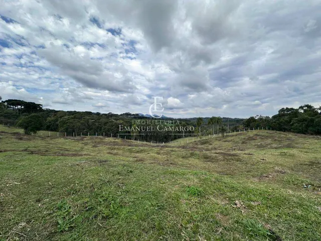 Imagem 13: Área à venda em Piraquara, Vila Fuck, 20000m²