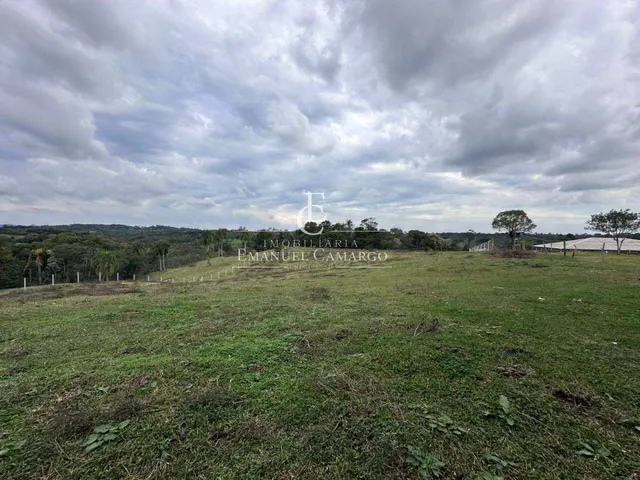 Imagem 9: Área à venda em Piraquara, Vila Fuck, 20000m²