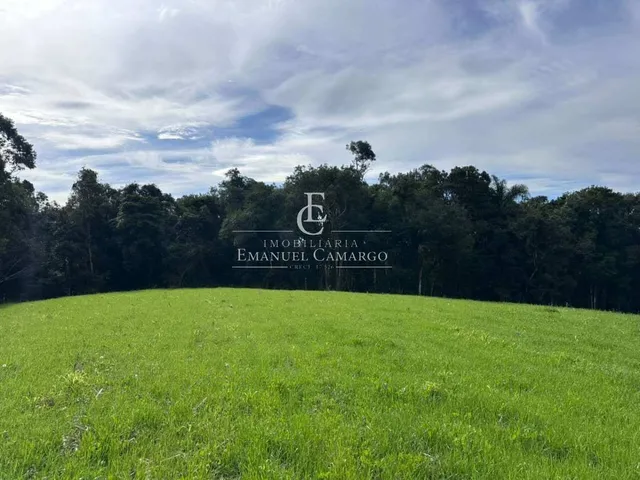 Imagem: Chácara à venda em Quatro Barras, Palmitalzinho