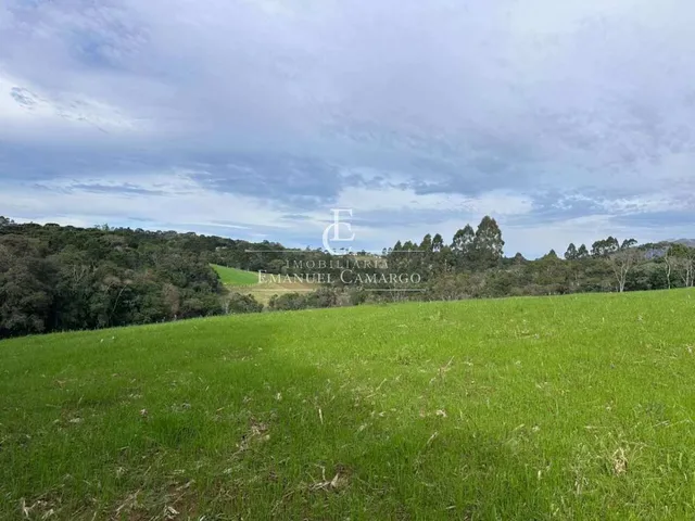 Imagem 4: Chácara à venda em Quatro Barras, Palmitalzinho, 20000m²