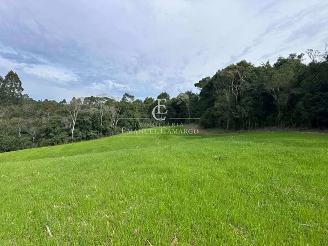 Imagem 5: Chácara à venda em Quatro Barras, Palmitalzinho, 20000m²