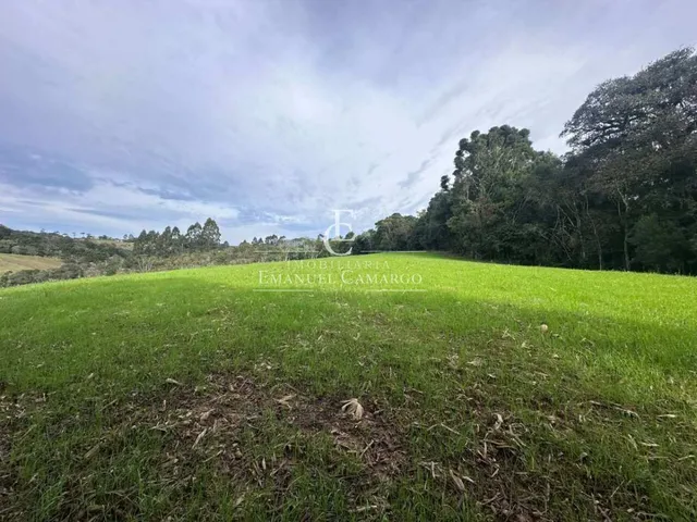 Imagem 8: Chácara à venda em Quatro Barras, Palmitalzinho, 20000m²