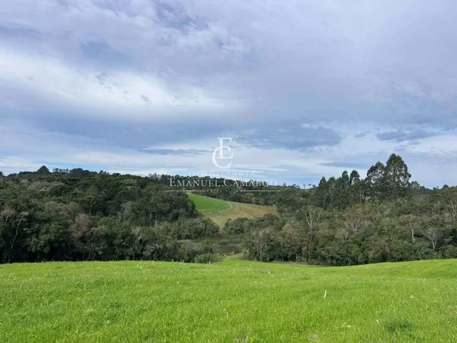 Imagem 3: Chácara à venda em Quatro Barras, Palmitalzinho, 20000m²