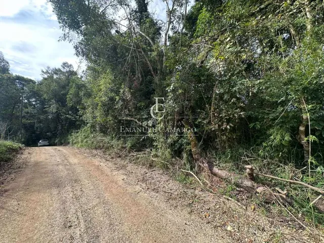 Imagem 2: Chácara à venda em Quatro Barras, Palmitalzinho, 20000m²