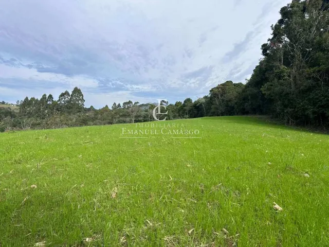 Imagem 7: Chácara à venda em Quatro Barras, Palmitalzinho, 20000m²