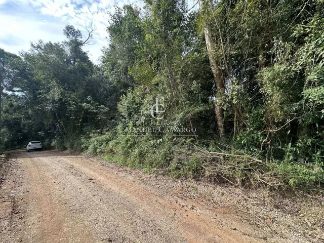 Imagem 6: Chácara à venda em Quatro Barras, Palmitalzinho, 20000m²