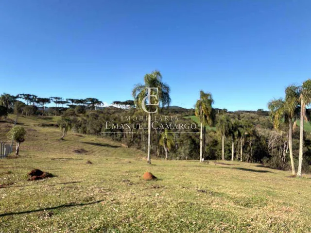 Imagem 3: Área à venda em Piraquara, Vila Fuck, 20000m²