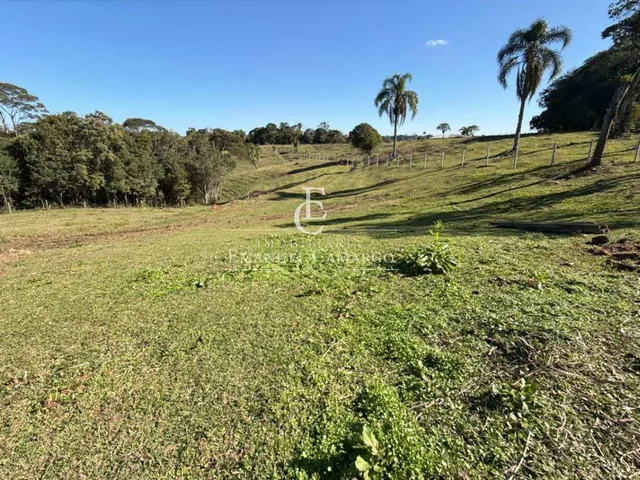 Imagem 5: Área à venda em Piraquara, Vila Fuck, 20000m²