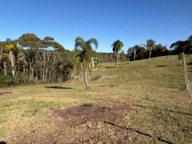 Imagem 7: Área à venda em Piraquara, Vila Fuck, 20000m²