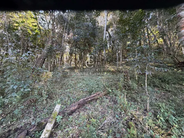 Imagem 10: Área à venda em Piraquara, Vila Fuck, 20000m²