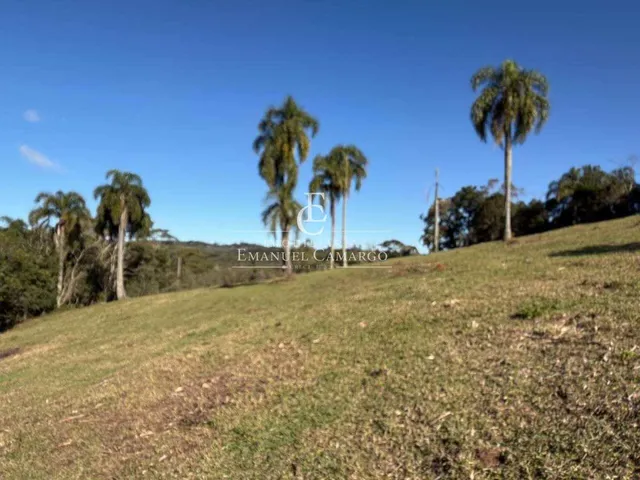 Imagem 12: Área à venda em Piraquara, Vila Fuck, 20000m²