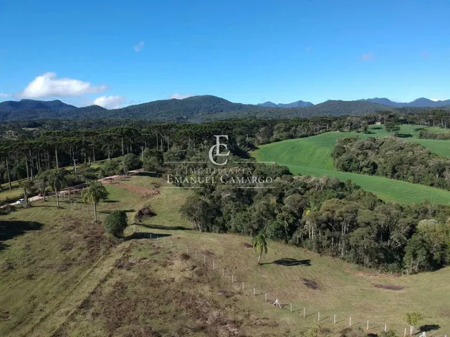 Imagem 14: Área à venda em Piraquara, Vila Fuck, 20000m²