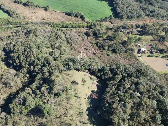 Imagem 15: Área à venda em Piraquara, Vila Fuck, 20000m²