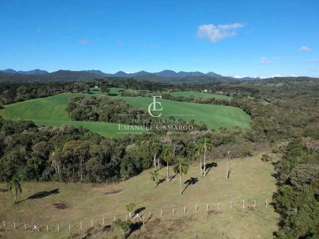 Imagem 16: Área à venda em Piraquara, Vila Fuck, 20000m²