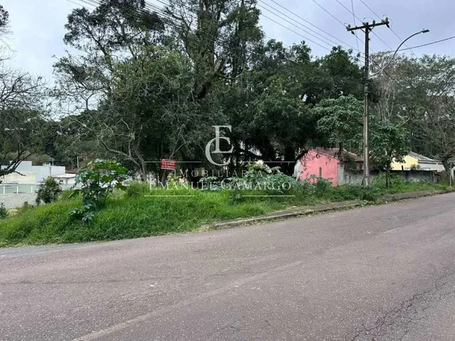 Imagem 2: Terrenos à venda em Piraquara