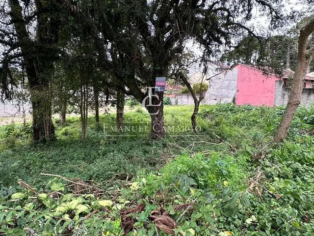 Imagem 3: Terrenos à venda em Piraquara