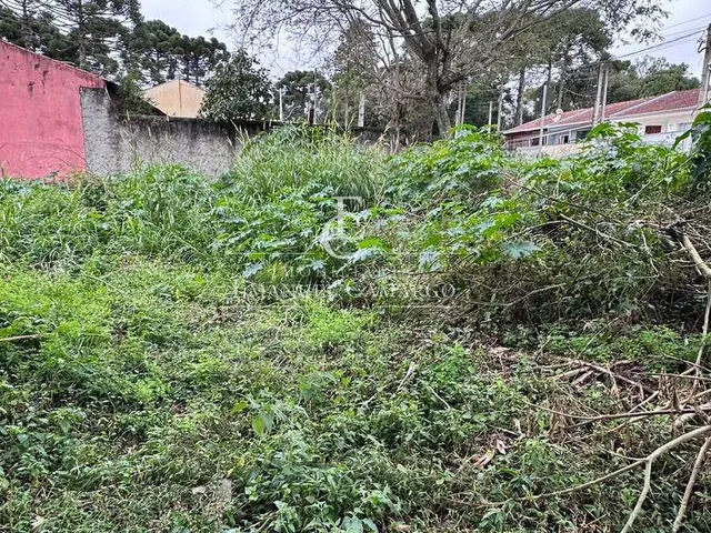 Imagem 4: Terrenos à venda em Piraquara