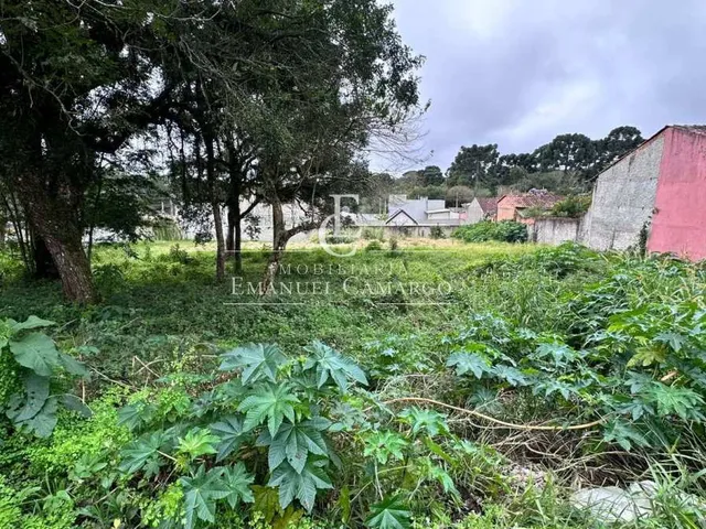 Imagem 8: Terrenos à venda em Piraquara