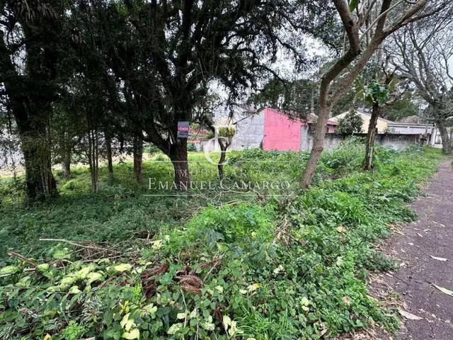 Imagem 10: Terrenos à venda em Piraquara