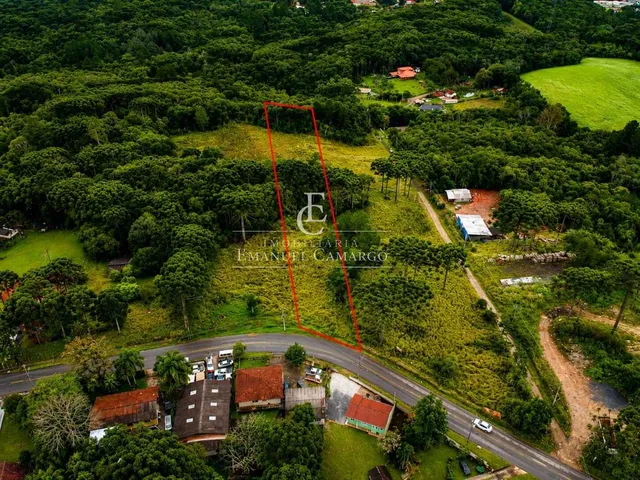 Imagem: Área à venda em Colombo, Colônia Faria