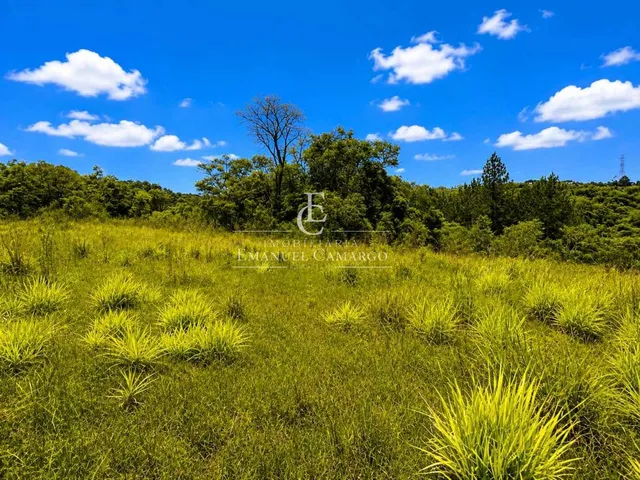 Imagem 4: Área à venda em Colombo, Colônia Faria, 9400m²
