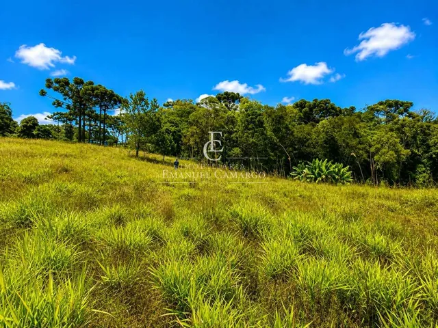 Imagem 12: Área à venda em Colombo, Colônia Faria, 9400m²